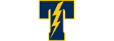Tea Area High Logo