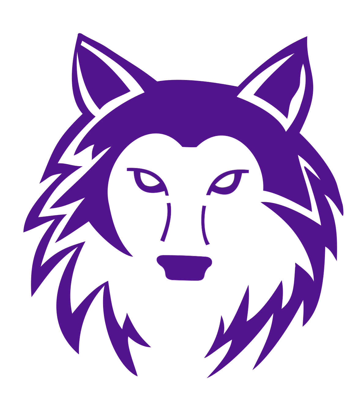 Blue Valley Northwest Logo